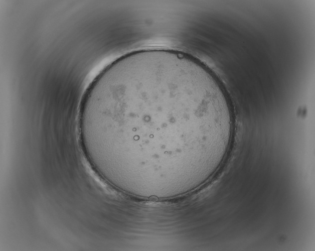X0000115071469200911171119
