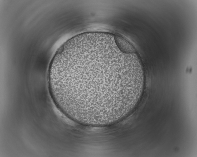 X0000115071471200911171119