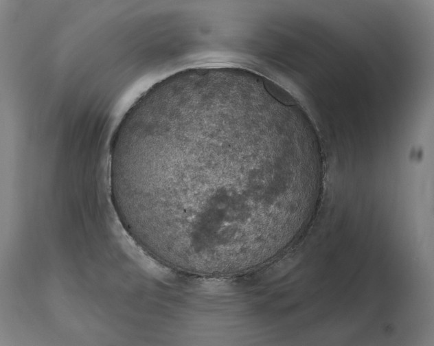 X0000115071472200911171119