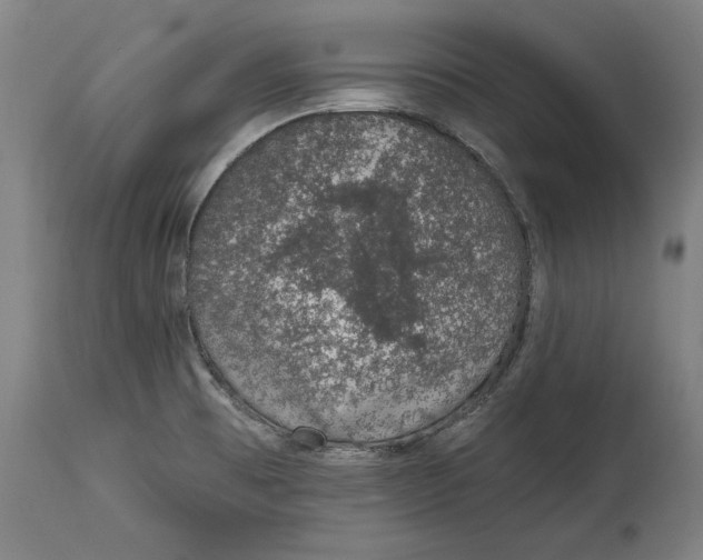 X0000115071473200911171119