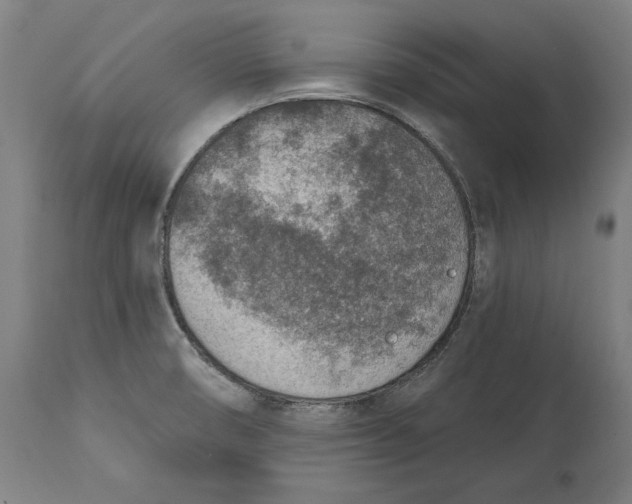 X0000115071474200911171119