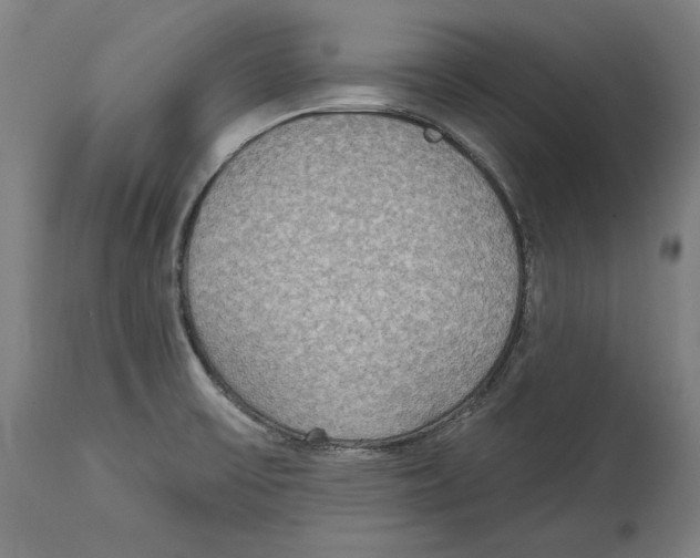 X0000115071475200911171119