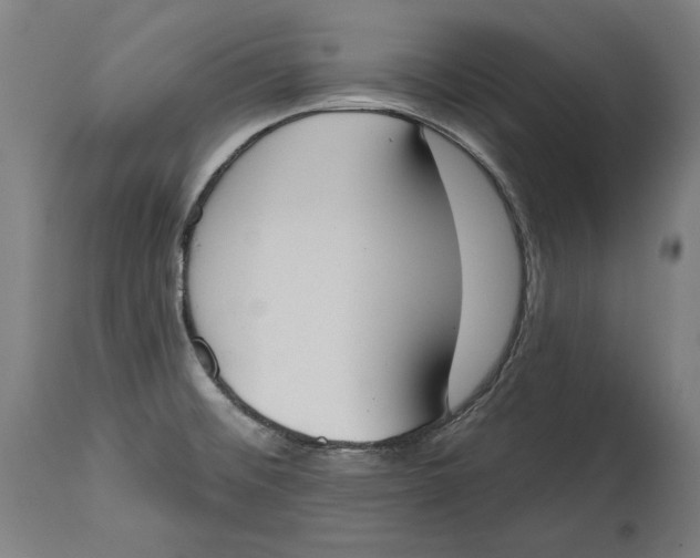 X0000115071476200911171119