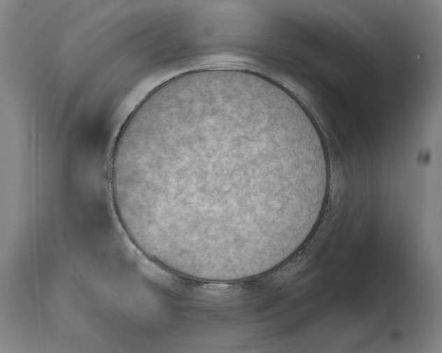 X0000115071478200911171119