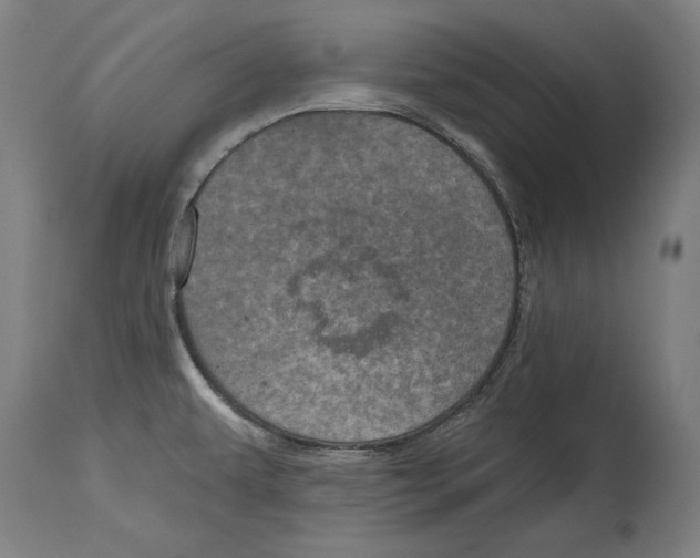 X0000115071479200911171119
