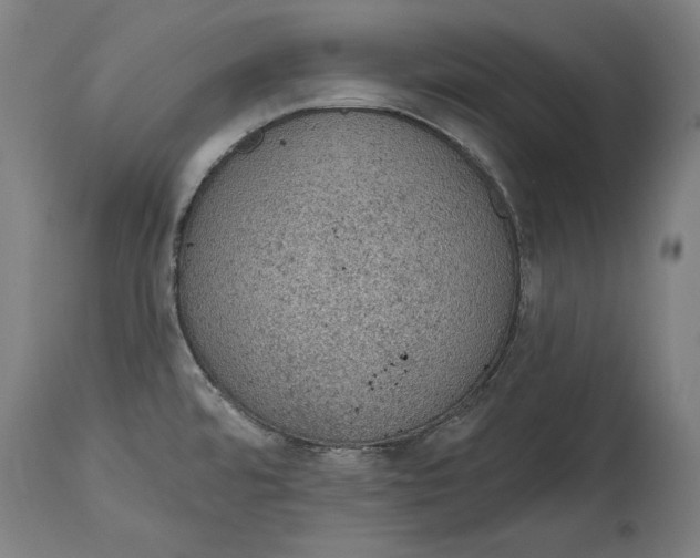 X0000115071480200911171119