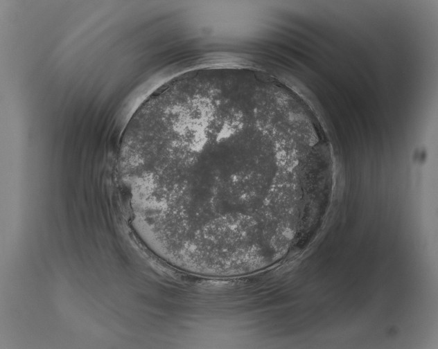 X0000115071481200911171119