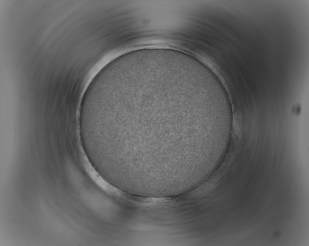 X0000115071482200911171119
