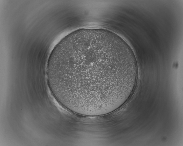 X0000115071485200911171119