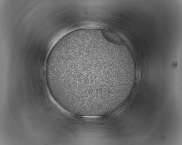 X0000115071487200911171119