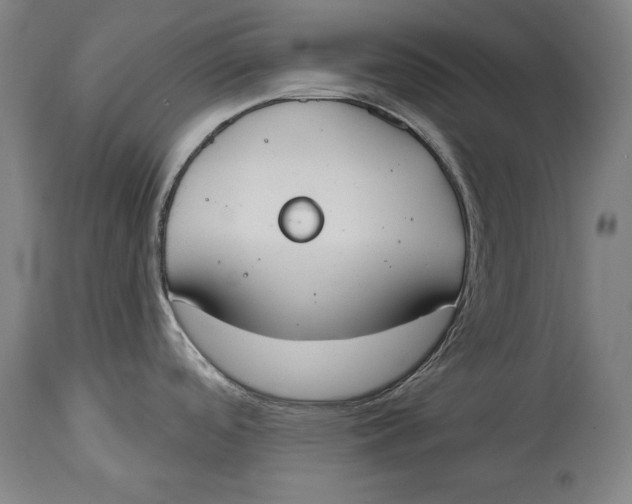 X0000115071488200911171119