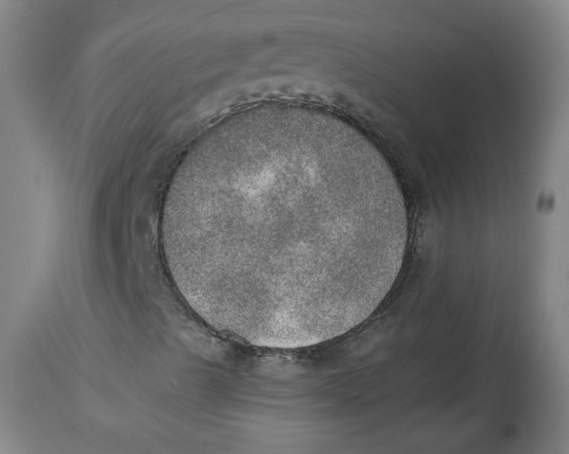 X0000115071489200911171118