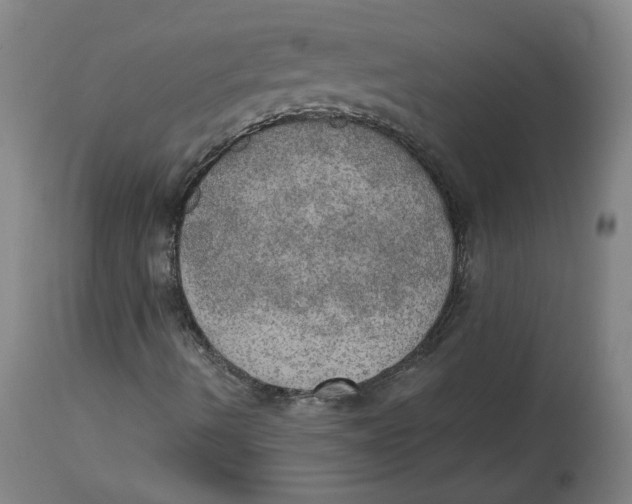 X0000115071490200911171118