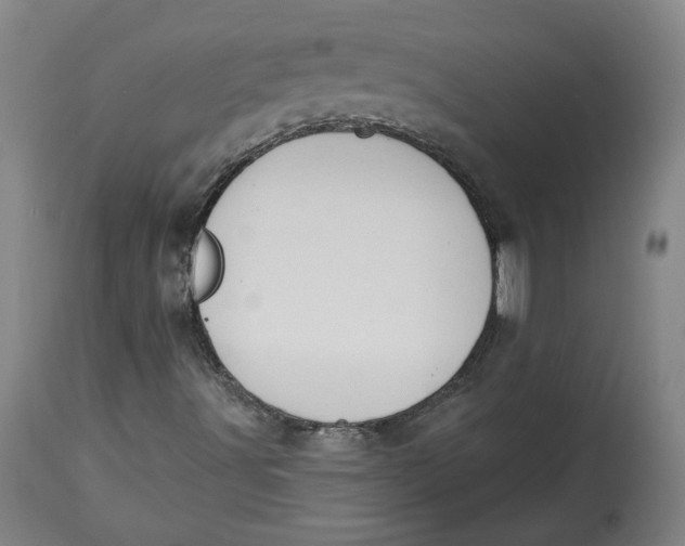 X0000115071491200911171118