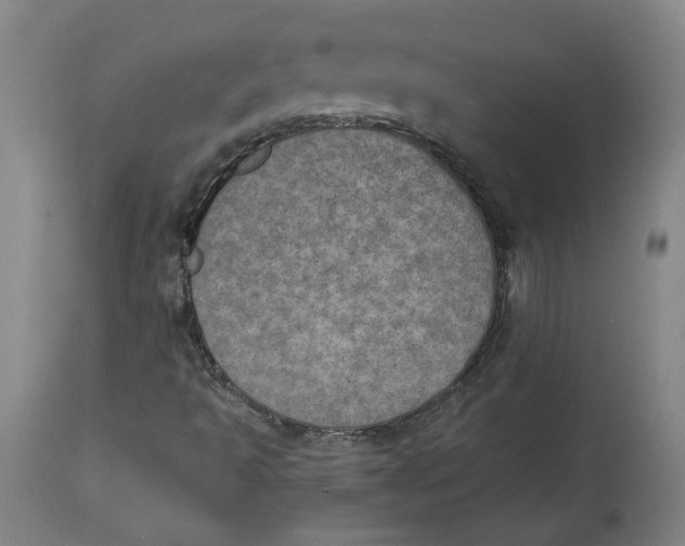 X0000115071493200911171118