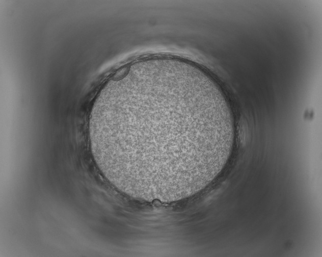 X0000115071494200911171118