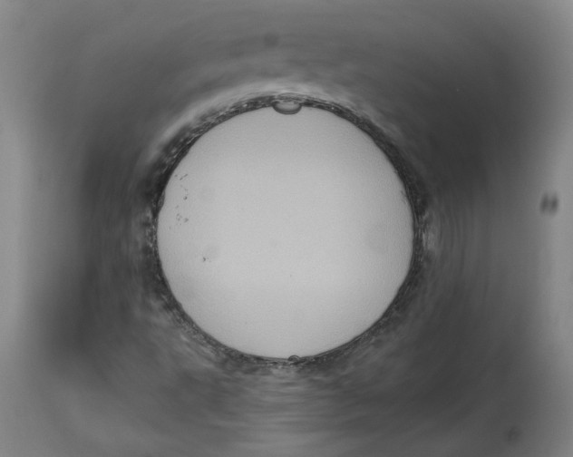 X0000115071495200911171118