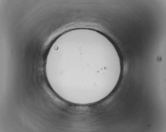 X0000115071498200911171118