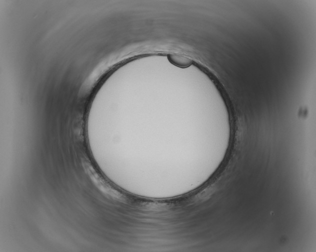 X0000115071499200911171118