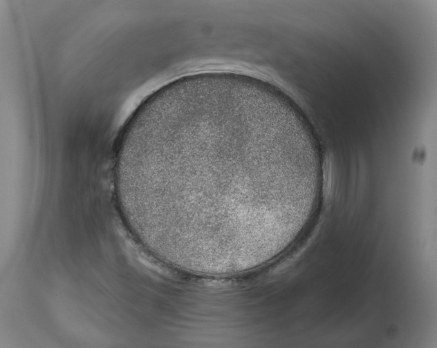 X0000115071501200911171118