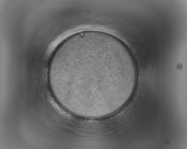 X0000115071503200911171118