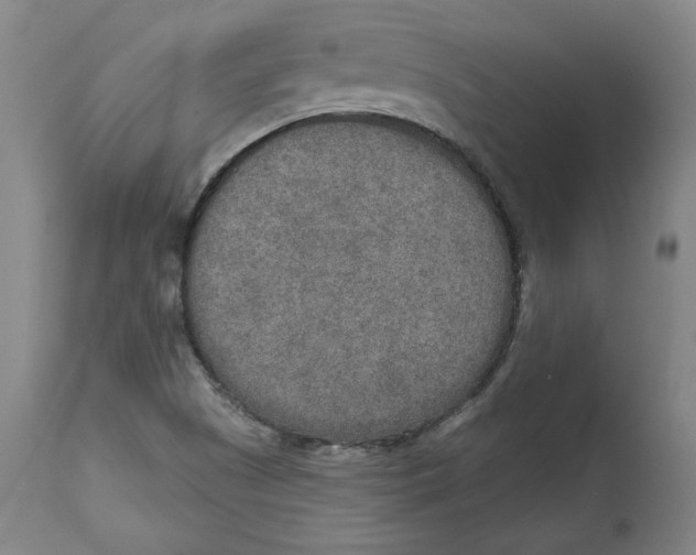 X0000115071505200911171118