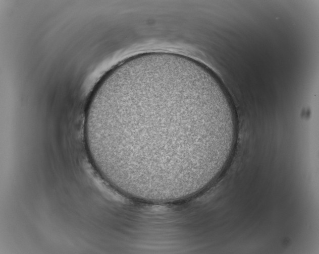 X0000115071507200911171118