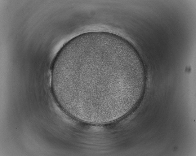 X0000115071509200911171118