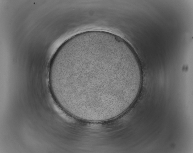 X0000115071511200911171118