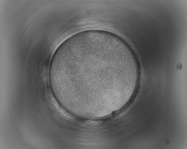 X0000115071513200911171118