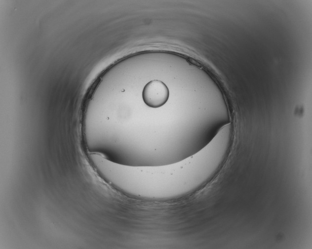 X0000115071514200911171118