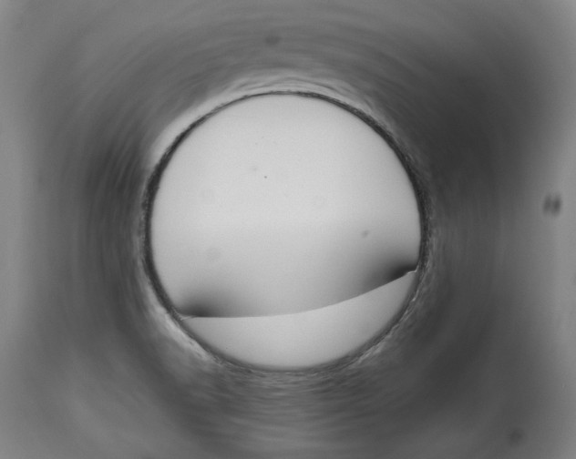 X0000115071518200911171118
