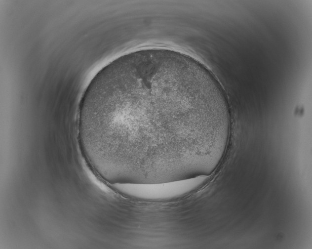 X0000115071519200911171118