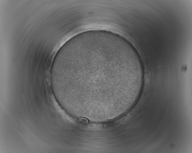 X0000115071521200911171118