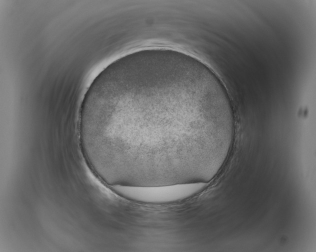 X0000115071527200911171119