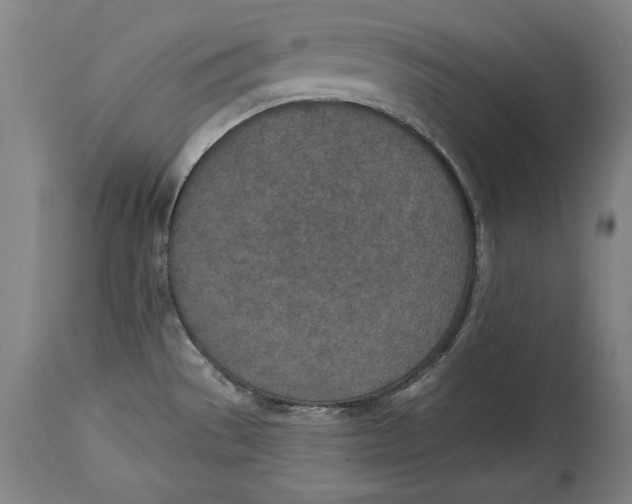 X0000115071529200911171119