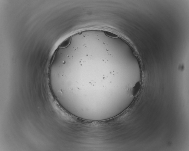 X0000115071530200911171119