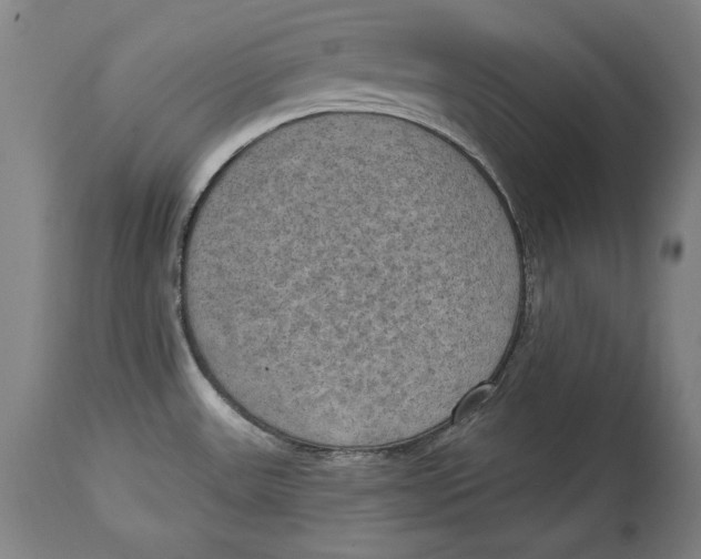 X0000115071531200911171119