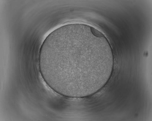 X0000115071534200911171119