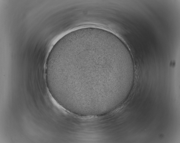 X0000115071535200911171119