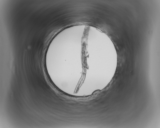 X0000115070001200911241131