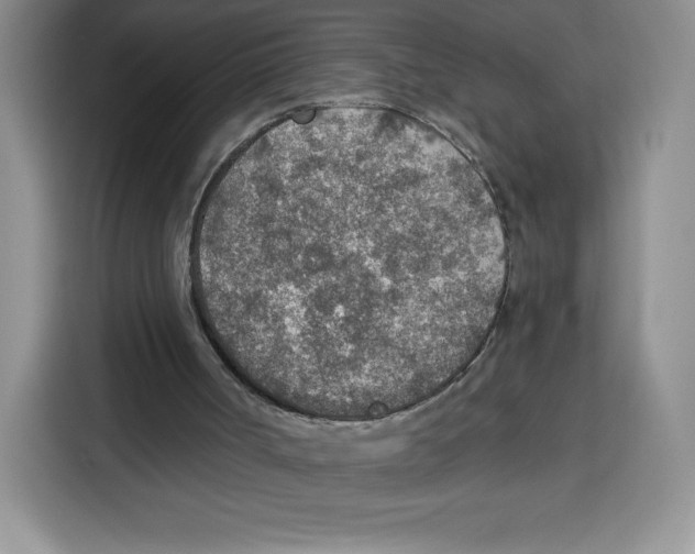 X0000115070002200911241131