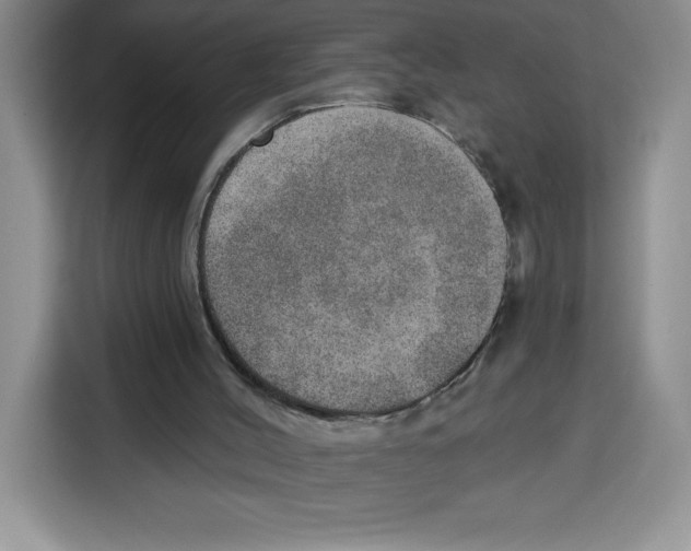 X0000115070004200911241131