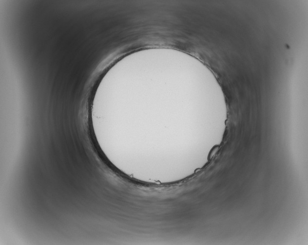 X0000115070005200911241131