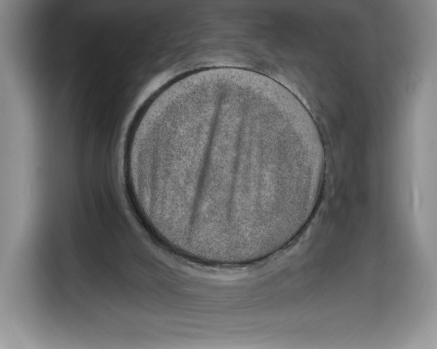 X0000115070008200911241131