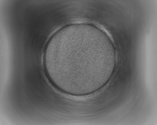 X0000115070010200911241131
