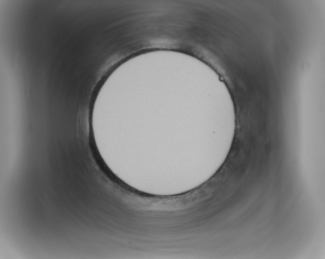 X0000115070011200911241131