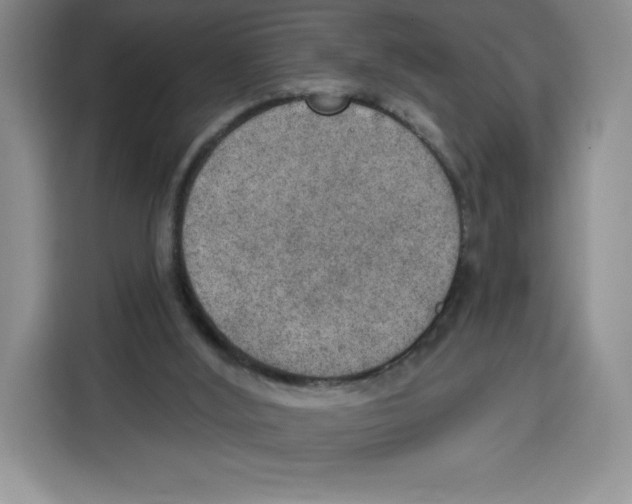 X0000115070012200911241131