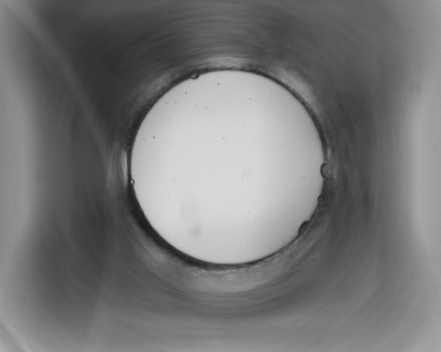 X0000115070013200911241131