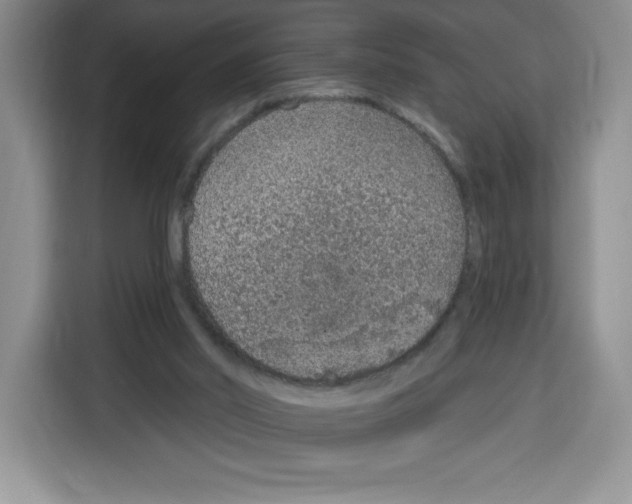 X0000115070014200911241131